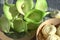 Bouquet of green yellow callas with marshmallows in a wooden round box on a gray wooden background