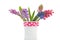 Bouquet Hyacinths
