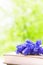 Bouquet hyacinths muscari on background of spring gar