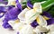 Bouquet of iris flowers on white wooden table