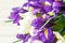 Bouquet of iris flowers on white wooden table