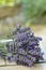 Bouquet of lavanda flowers.