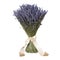 A bouquet of lavender