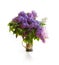 Bouquet of a lilac in a bright jar on light tones.