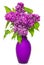 Bouquet of lilac flowers in vase