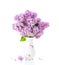 Bouquet of Lilac in old porcelain vase isolated on white background