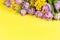 Bouquet of lilac tulips and mimosas on illuminating yellow background, copy space, top view, closeup. March 8, February 14,