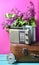 Bouquet of lilacs in enameled kettle on antique suitcase, vintage radio, alarm clock on pink background. Retro style still life.