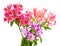 Bouquet of lilies (alstroemeria)