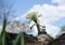 Bouquet of lilies of the valley on the arrow of a toy excavator standing on a stone against the blue sky