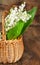 Bouquet of lilies of the valley in a basket