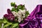 Bouquet of lillac flowers and purple drapery on white background.