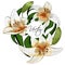 Bouquet lily tiger type realistic flowers vector clipart