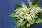 Bouquet of lily of the valley on blue background