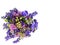 Bouquet of limonium flowers, also known as sea-lavender, statice, caspia on the white background. Top view. Copy space.