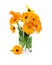Bouquet of marigold in glass vase