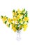 Bouquet Marsh Marigold Yellow wildflowers in vase .