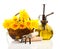 Bouquet of narcissus flowers in a basket with garden tools