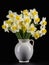 Bouquet of narcissus flowers in a vase.