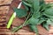 A bouquet of nettles lies on a wooden table with a knife