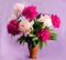 Bouquet of nine bright burgundy, tender pink and white peonies in a clay terracotta vase on a soft purple background