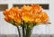 Bouquet of orange clivia flowers in glass vase.
