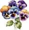 A bouquet of Pansy flowers. AI-Generated.