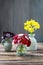 Bouquet of pansy flowers in ceramic vase, bouquet of red daisies in glass vase and bouquet of daffodils in blue vase