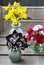 Bouquet of pansy flowers in ceramic vase, bouquet of red daisies in glass vase and bouquet of daffodils in blue vase