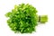 Bouquet of parsley on a white background