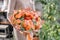 Bouquet Peach and orange color. beautiful hydrangea flowers in a vase on a table . Decoration of home. Wallpaper and