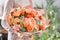 Bouquet Peach and orange color. Decoration of home. Wallpaper and background.