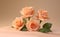 Bouquet of peach roses on light fabric closeup with copy space
