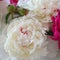 Bouquet of peonies closeup