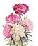 Bouquet of peonies watercolor.Iillustration for vintage greeting