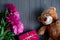 A bouquet of peonies on a wooden background with a gift, a toy bear. Pink and maroon peonies on a dark background. Valentine and