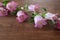 Bouquet of pink bellflower isoltwd on a wooden background with copy space