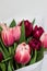 Bouquet of pink and burgundy tulips on a light background. Spring bouquet, March 8, spring, love. Postcard, photo