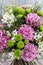 Bouquet of pink carnation, arabian star flower (ornithogalum ara