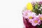 Bouquet of pink chrysanthemum flowers and yellow tulips