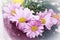 Bouquet of pink chrysanthemum flowers and yellow tulips