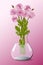 Bouquet of pink chrysanthemum in vase