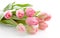 Bouquet of pink Dutch tulips