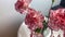 Bouquet of pink flowers of carnations is standing in a vase, the concept of sweet home