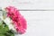 Bouquet of pink gerbera and chrysanths flowers on white paint wooden background.