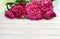 Bouquet of pink multicolored peonies on background of white wooden table with space for text. Spring decoration