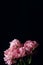 Bouquet of pink peonies on a black background with place for text. minimalistic floral arrangement in a dark key. top view, moody