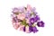 Bouquet of pink and purple bellflower isolated on a white background