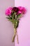Bouquet of Pink and Rose Peonies on double Gray and Pink Background Fashionable minimal concept of spring or summer flowers Top