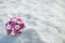 Bouquet of pink roses and white daisies on winter snow background